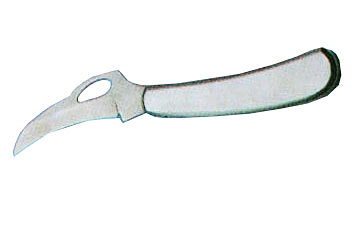 ����鿴��ͼ