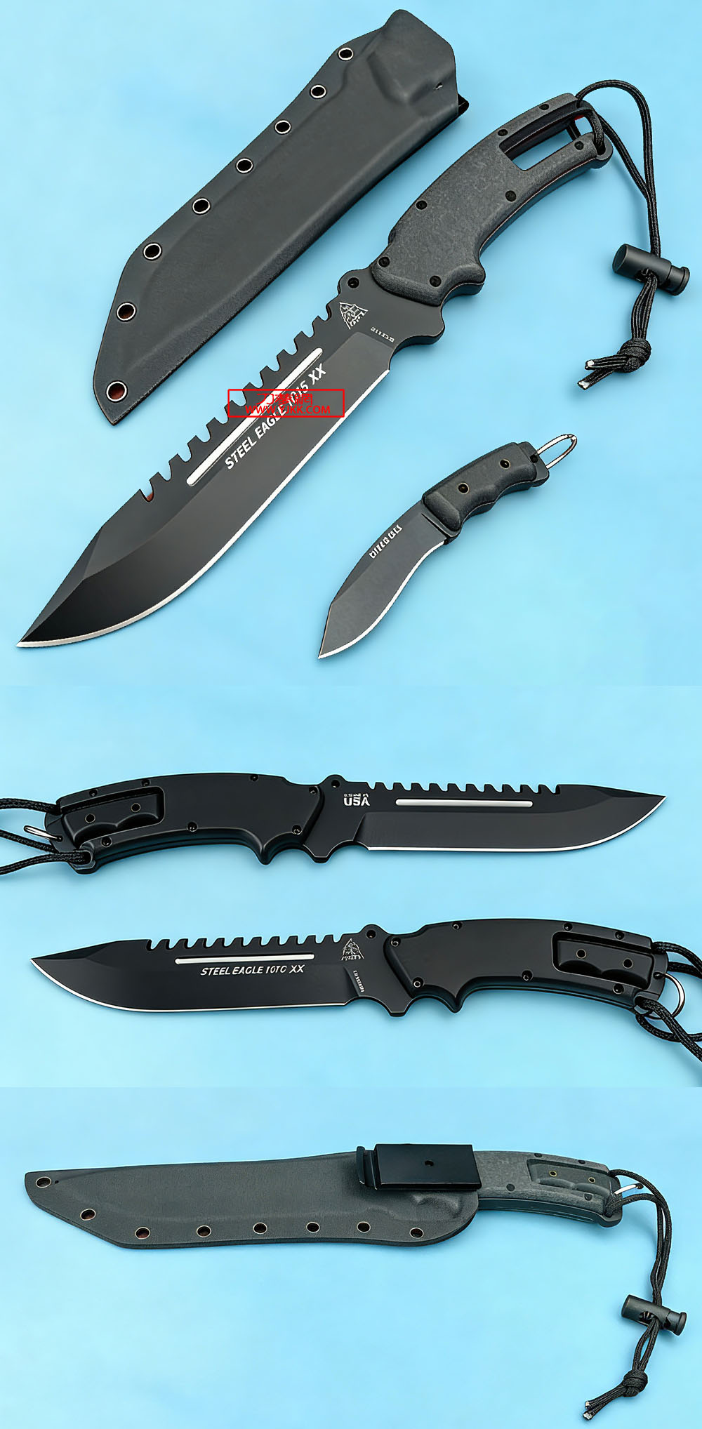 �����ж���������TOPGUN����˹��ͷ��ӥ������ĸ���С����ֱʴ�